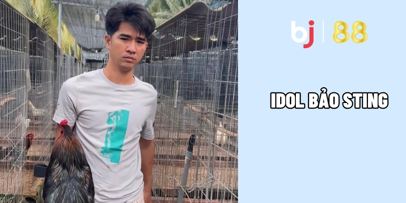 Idol Báo Sting - Chiến Thần Trường Gà Với Những Kèo Đỉnh Cao 1 Hành trình nổi tiếng của Báo Sting khiến các sư kê ngỡ ngàng